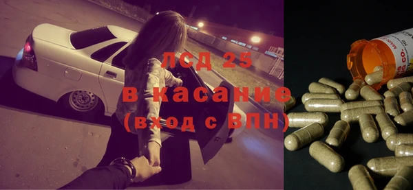ПСИЛОЦИБИНОВЫЕ ГРИБЫ Богданович