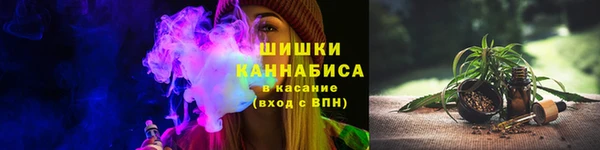ПСИЛОЦИБИНОВЫЕ ГРИБЫ Богданович