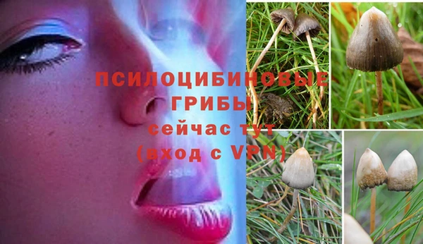 jwh Балабаново