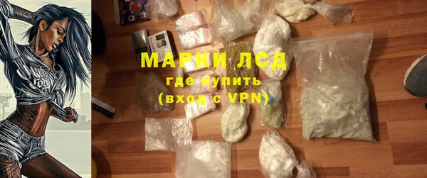 ПСИЛОЦИБИНОВЫЕ ГРИБЫ Богданович