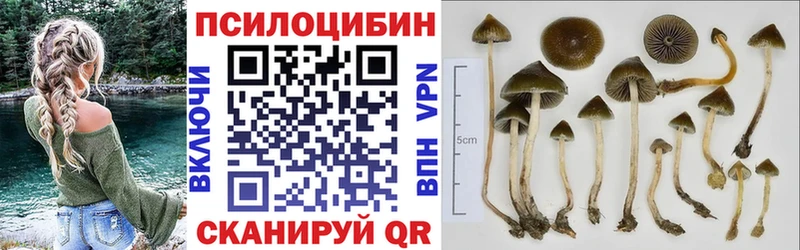 Псилоцибиновые грибы Magic Shrooms  Каменка 