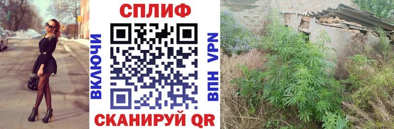 Марихуана тримм  где купить   Каменка 
